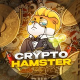 CryptoHamster🐹 - news & drops Logo