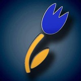 Українці в Нідерландах - Oekraïners in Nederland Logo