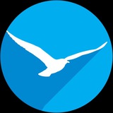 SearchGull+ Logo