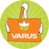 VARUS Logo