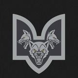 «Вовки Да Вінчі» окремий 108 батальйон Logo