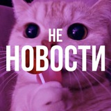 не новости🐾 Logo