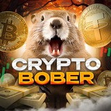 CRYPTO BOBER Logo