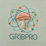 GribPro | Їжовик Мухомор Мікродозинг Logo