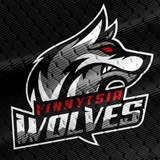 Vinnytsia Wolves / Вінницькі Вовки Logo