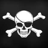 Позывной «Историк» Logo