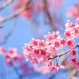 Естетика 🌸 🦋 🌄 | Картинки, фото - заставки та шпалери | Pictures Wallpaper Logo