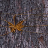 барахолка гештальтів Logo