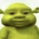 Shrek Crypto Logo