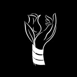 POVYTA Logo