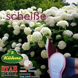 Scheiße | Ну що ж ти скажеш! Logo
