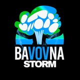 BVN STORM Logo