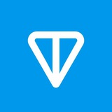 Toncoin UA Logo