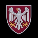82 окрема десантно-штурмова Буковинська бригада Logo