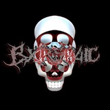 Bxrsh4ic (Борщик) 💀 Logo