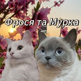 Pet home 🏡 🥰🧶😺😸 Logo