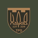 229 окремий батальйон 127 окремої бригади ТрО ЗСУ Logo