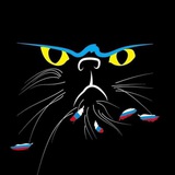 МАРТівський кіт | Новини Миколаєва Logo