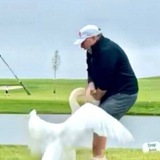 Трампомир: отсчёт каденции Трампа Logo
