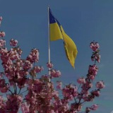 Мукачівська міська рада Logo