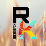 Коростишівське Радіо Logo
