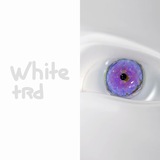 whitetrd Logo