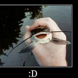 Українські меми Logo