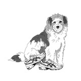 Sneakersbaar Logo