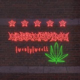 Yдар в спину ежом Logo