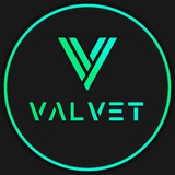 ValVet Crypto Logo