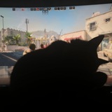 Мур🐈 Logo