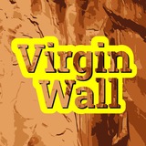 virginwall Logo