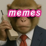 DGRS MEMES 💯 Logo