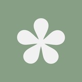 Bazilik school Logo