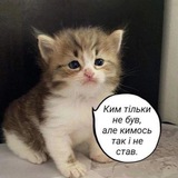 Інтро мого дня. Logo