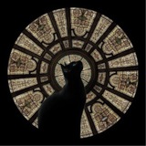 (ТИМЧАСОВА ПАУЗА) black cat ➛ твій знак долі Logo
