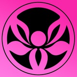 Liliya Yanush Shop (Ринкова 5055) Logo