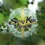 Stray Kids Ukraine️️️️️️️ 🌿 Logo