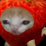 Hewais UGC channеl🍓 Logo