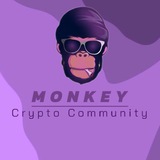 Crypto Monkey Logo