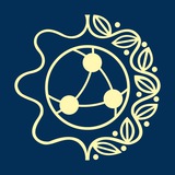 Ave Team Україна 🇺🇦 Logo