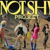 Not Shy//Project Logo