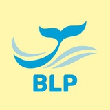 Beleza da Língua Portuguesa✨ Logo