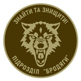 Підрозділ Бродяги || Рота аеророзвідки Logo