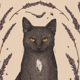 the kitty arcana 𓃠 Logo