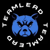 Арбитраж глазами тимлида Logo