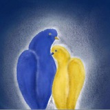 PRO Poznań UA🇺🇦🇵🇱 Logo