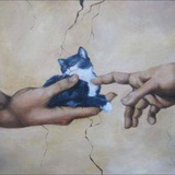 Котішечки коти Logo