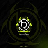 Заметки Breaking Team Logo