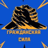 Гражданская сила Logo